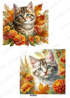 Rýžový a Soft  papír  A4 pro decoupage- R01660