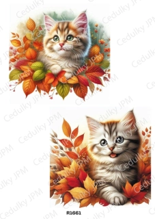 Rýžový a Soft  papír  A4 pro decoupage- R01661