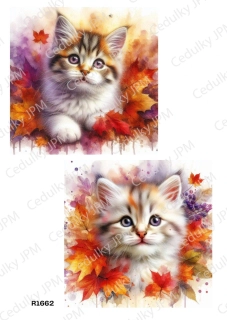 Rýžový a Soft  papír  A4 pro decoupage- R01662