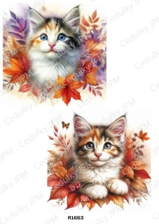 Rýžový a Soft  papír  A4 pro decoupage- R01663