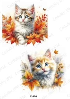 Rýžový a Soft  papír  A4 pro decoupage- R01664