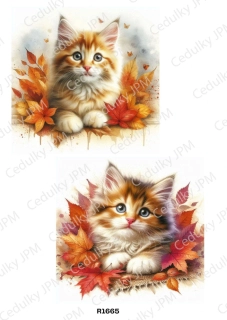Rýžový a Soft  papír  A4 pro decoupage- R01665