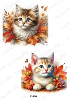 Rýžový a Soft  papír  A4 pro decoupage- R01666