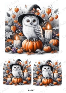 Rýžový a Soft papír A4 pro decoupage- R01667