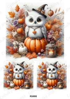 Rýžový a Soft papír A4 pro decoupage- R01668