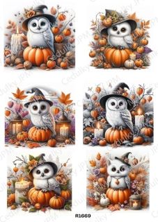 Rýžový a Soft papír A4 pro decoupage- R01669