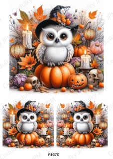 Rýžový a Soft papír A4 pro decoupage- R01670