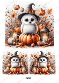 Rýžový a Soft papír A4 pro decoupage- R01671