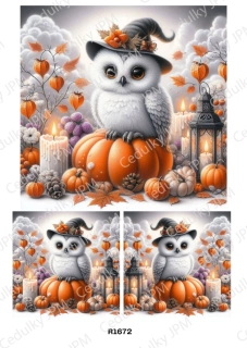 Rýžový a Soft papír A4 pro decoupage- R01672