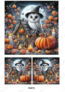 Rýžový a Soft papír A4 pro decoupage- R01673