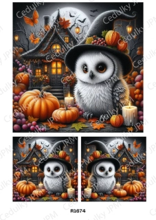 Rýžový a Soft papír A4 pro decoupage- R01674