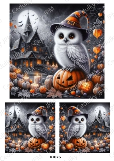 Rýžový a Soft papír A4 pro decoupage- R01675