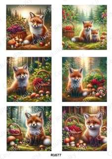 Rýžový a Soft  papír  A4 pro decoupage- R01677