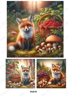 Rýžový a Soft  papír  A4 pro decoupage- R01678