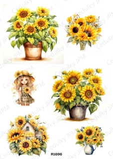 Rýžový a Soft  papír  A4 pro decoupage- R01696