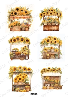 Rýžový a Soft  papír  A4 pro decoupage- R01700