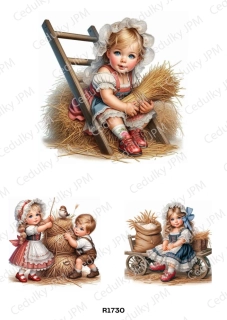 Rýžový a Soft  papír  A4 pro decoupage- R01730