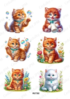 Rýžový a Soft  papír  A4 pro decoupage- R01732