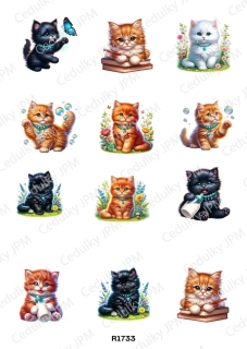 Rýžový a Soft  papír  A4 pro decoupage- R01733