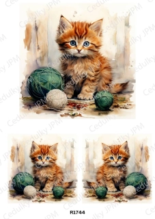 Rýžový a Soft  papír  A4 pro decoupage- R01744