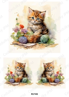 Rýžový a Soft  papír  A4 pro decoupage- R01745