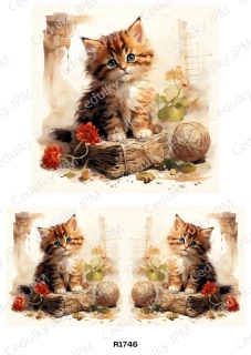 Rýžový a Soft  papír  A4 pro decoupage- R01746