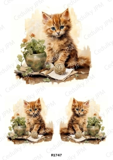 Rýžový a Soft  papír  A4 pro decoupage- R01747