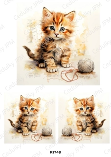 Rýžový a Soft  papír  A4 pro decoupage- R01748