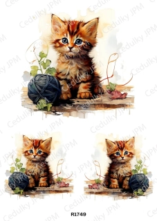 Rýžový a Soft  papír  A4 pro decoupage- R01749