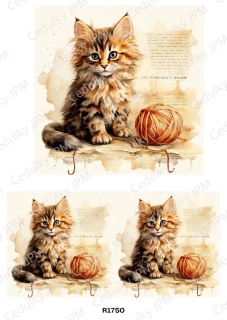 Rýžový a Soft  papír  A4 pro decoupage- R01750