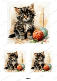 Rýžový a Soft  papír  A4 pro decoupage- R01751