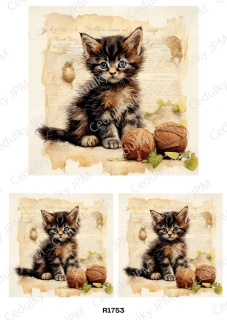 Rýžový a Soft  papír  A4 pro decoupage- R01753