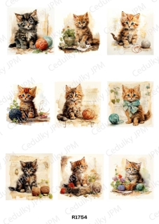 Rýžový a Soft  papír  A4 pro decoupage- R01754