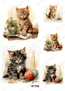 Rýžový a Soft  papír  A4 pro decoupage- R01755