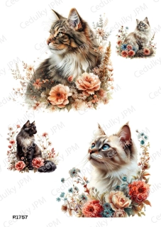 Rýžový a Soft  papír  A4 pro decoupage- R01757