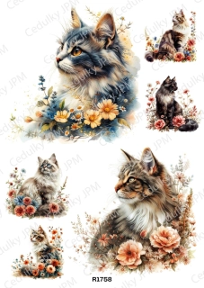 Rýžový a Soft  papír  A4 pro decoupage- R01758