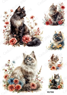 Rýžový a Soft  papír  A4 pro decoupage- R01759