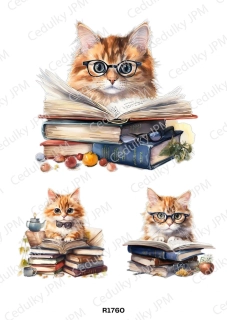 Rýžový a Soft  papír  A4 pro decoupage- R01760