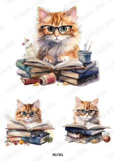 Rýžový a Soft  papír  A4 pro decoupage- R01761