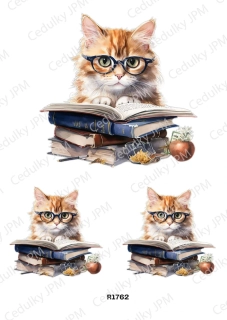 Rýžový a Soft  papír  A4 pro decoupage- R01762