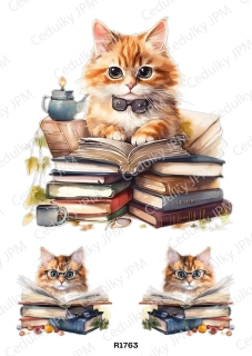 Rýžový a Soft  papír  A4 pro decoupage- R01763