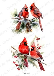 Rýžový a Soft papír A4 pro decoupage- R01767