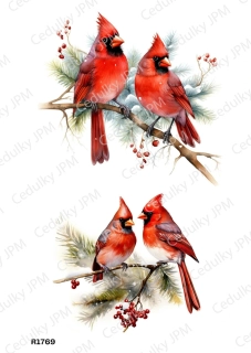 Rýžový a Soft  papír  A4 pro decoupage- R01769