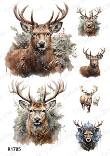 Rýžový a Soft  papír  A4 pro decoupage- R01785