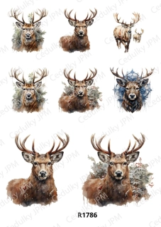 Rýžový a Soft  papír  A4 pro decoupage- R01786