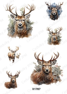 Rýžový a Soft  papír  A4 pro decoupage- R01787