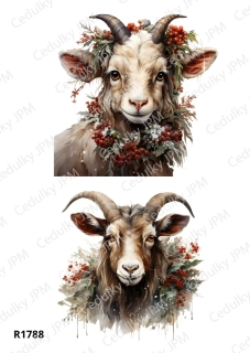 Rýžový a Soft  papír  A4 pro decoupage- R01788