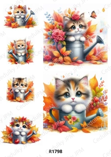 Rýžový a Soft  papír  A4 pro decoupage- R01798