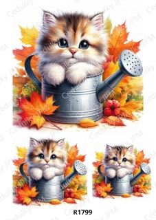 Rýžový a Soft  papír  A4 pro decoupage- R01799