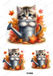 Rýžový a Soft  papír  A4 pro decoupage- R01800